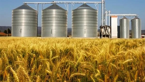 تصدير الحبوب الأوكرانية والروسية