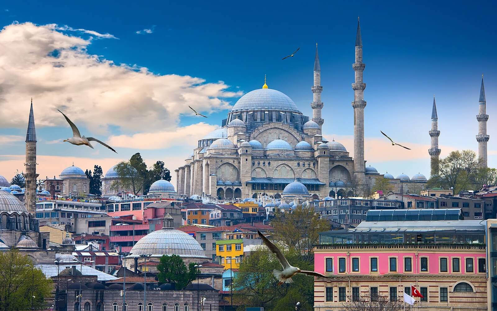 التركية شروط دخول السياح الأجانب
