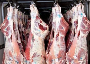 أسعار اللحوم اليوم فى مصر