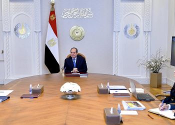الرئيس السيسي يجتمع مع وزيرة التعاون الدولي