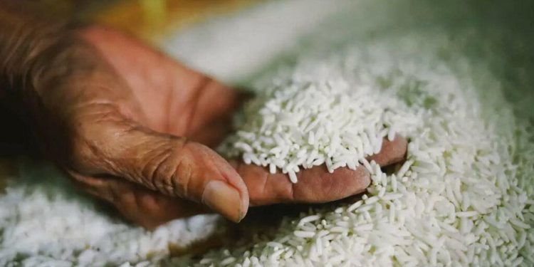 أسعار الأرز الأبيض بالأسواق ، سعر الأرز بالمجمعات الاستهلاكية