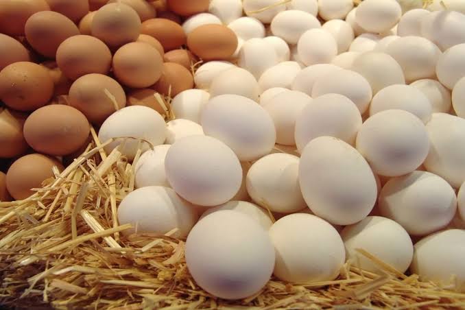 أسعار البيض فى مصر اليوم الجمعة، سعر كرتونة البيض