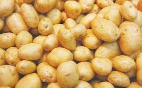 الزراعة: فحص وتصدير أكثر من 67 ألف طن بطاطس منذ بداية العام