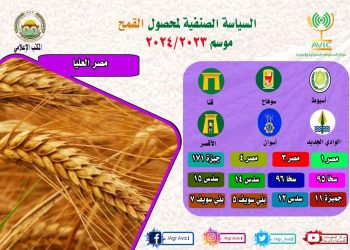 الخريطة الصنفية لمحصول القمح بالمحافظات: أفضل الأصناف لزراعتها في كل محافظة
