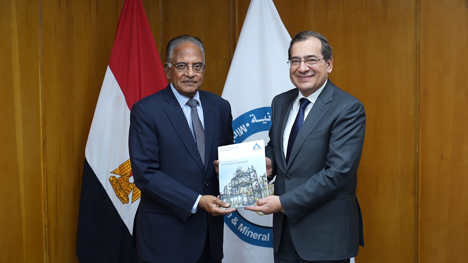 استثمارات الهند في مصر