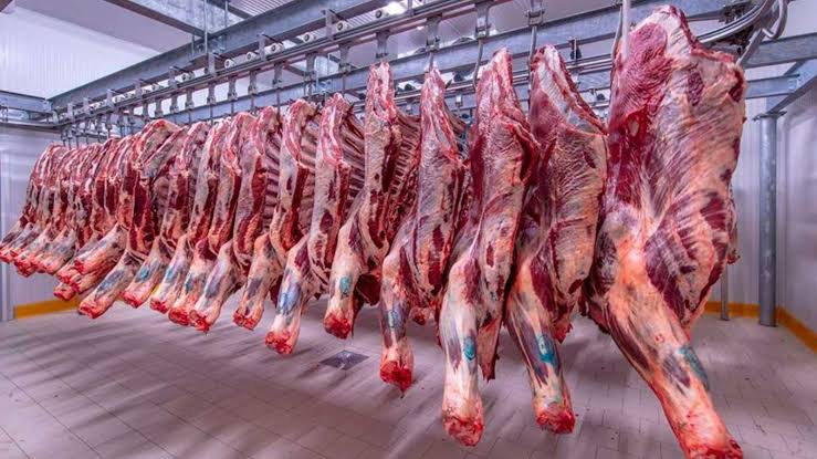 أسعار اللحوم بمنافذ الزراعة 
