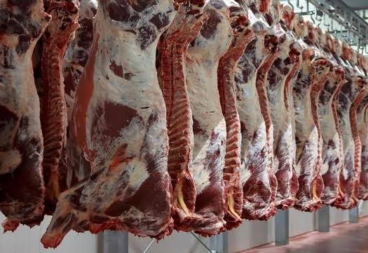 أسعار اللحوم بمنافذ الزراعة 