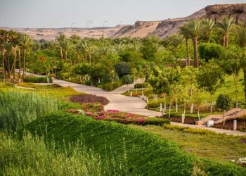 مشروعات الزراعة والتشجير في المدن الجديدة